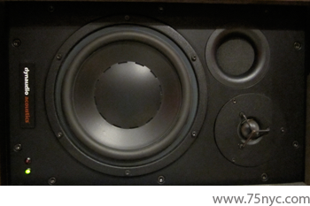 Enlarged view of image